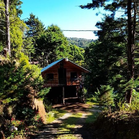 Cabana De Montana Queca Poas エクステリア 写真